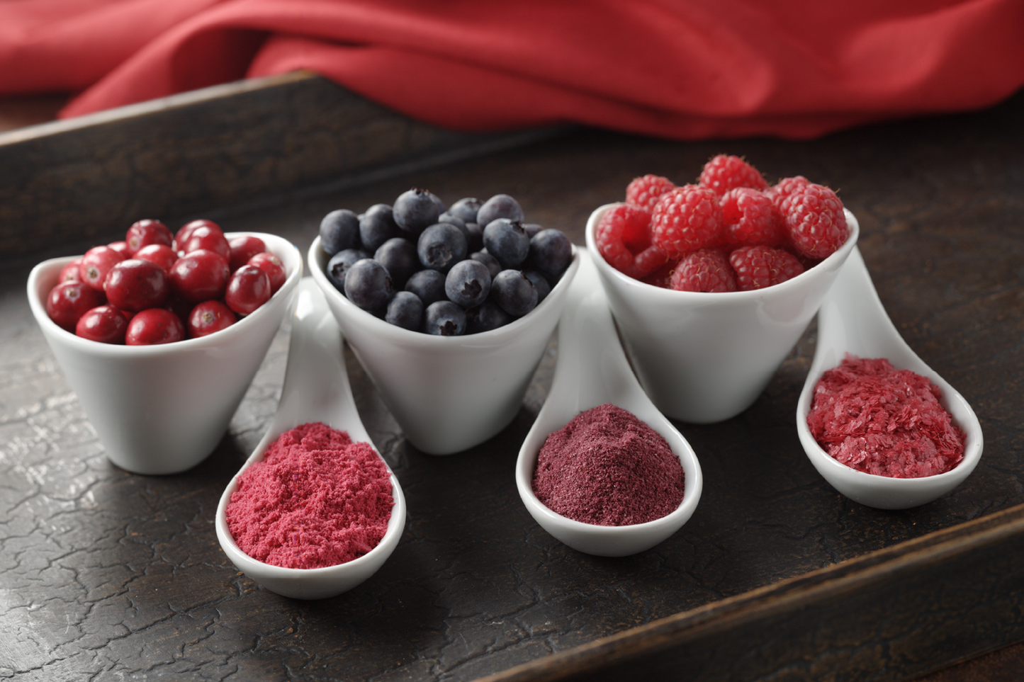Dried Fruit Powders