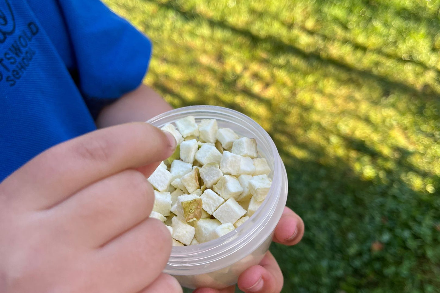 Freeze apple cubes make great snacks