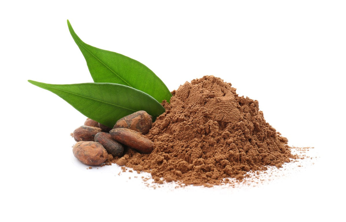 CACAO POWDER RAW ORGANIC