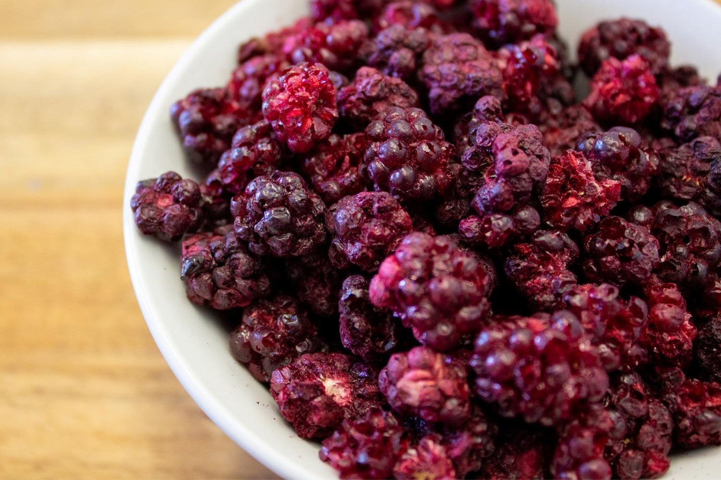 Organic Wild Freeze Dried Whole Blackberries