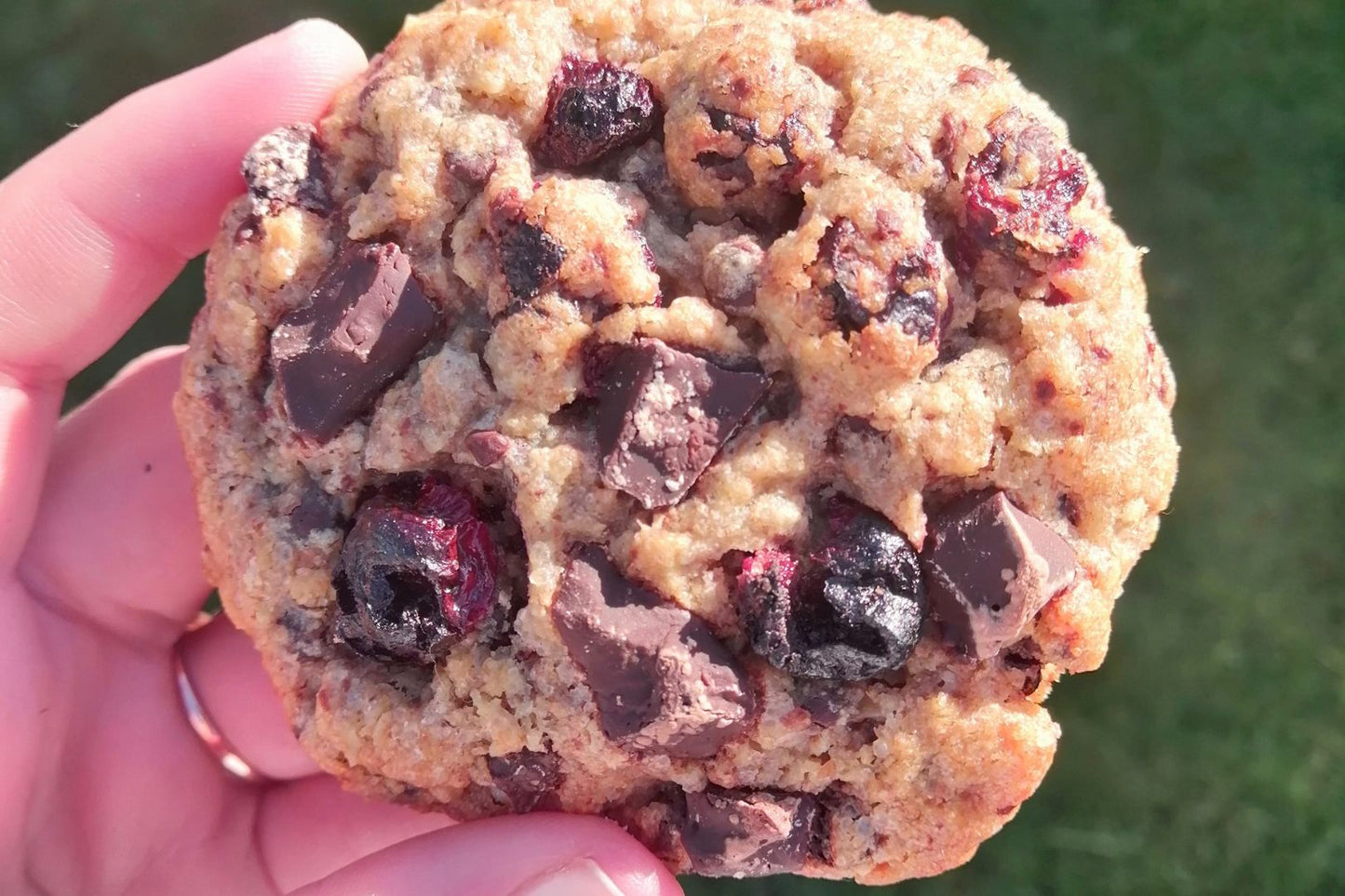 Load image into Gallery viewer, Cookie baked with freeze dried sour cherries
